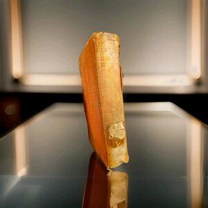 Burts Latin English Dictionary Rare 1900s A. L . Burt Company